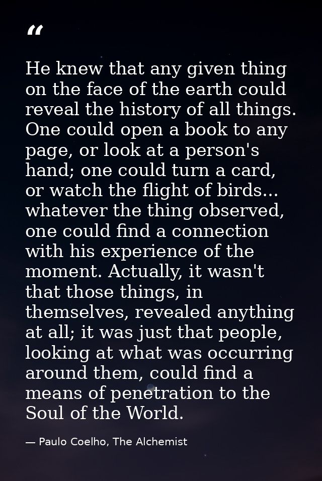 He knew that any given thing on the face of the earth could reveal the history of all things. One could open a book to a — Paulo Coelho, The Alchemist