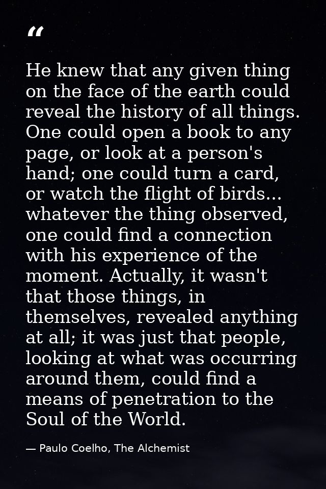 He knew that any given thing on the face of the earth could reveal the history of all things. One could open a book to a — Paulo Coelho, The Alchemist