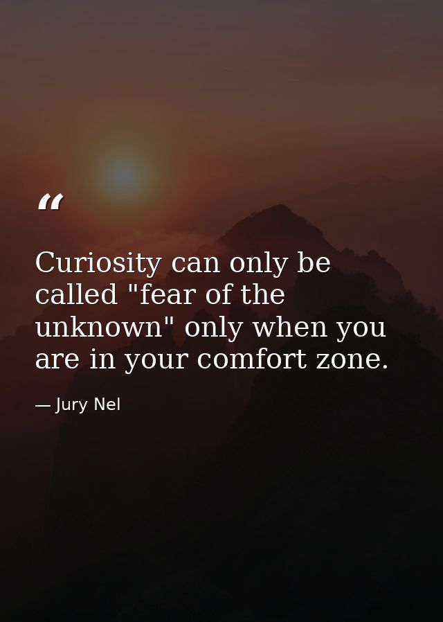 Curiosity can only be called "fear of the unknown" only when you are in your comfort zone. — Jury Nel