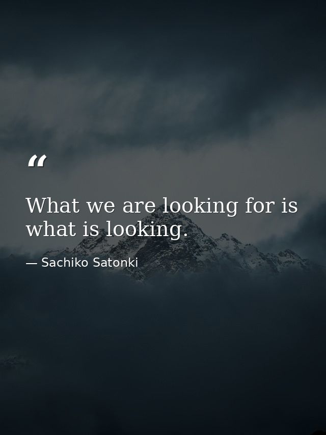 What we are looking for is what is looking. — Sachiko Satonki
