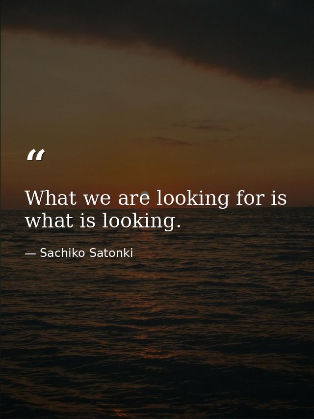 What we are looking for is what is looking. — Sachiko Satonki