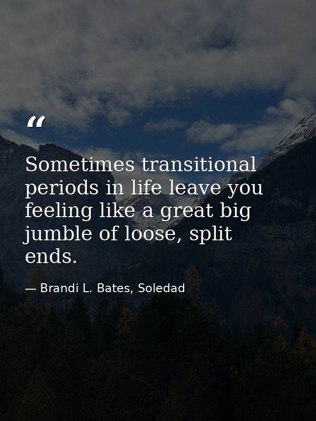 Sometimes transitional periods in life leave you feeling like a great big jumble of loose, split ends. — Brandi L. Bates, Soledad