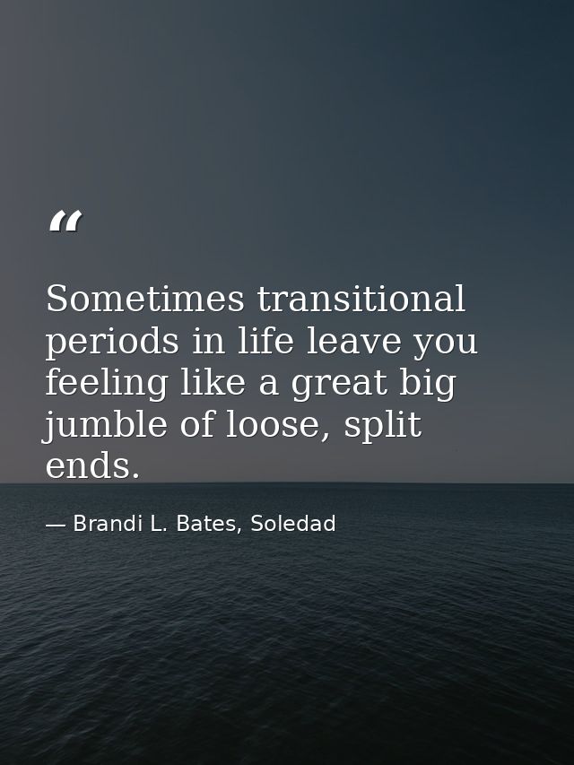 Sometimes transitional periods in life leave you feeling like a great big jumble of loose, split ends. — Brandi L. Bates, Soledad