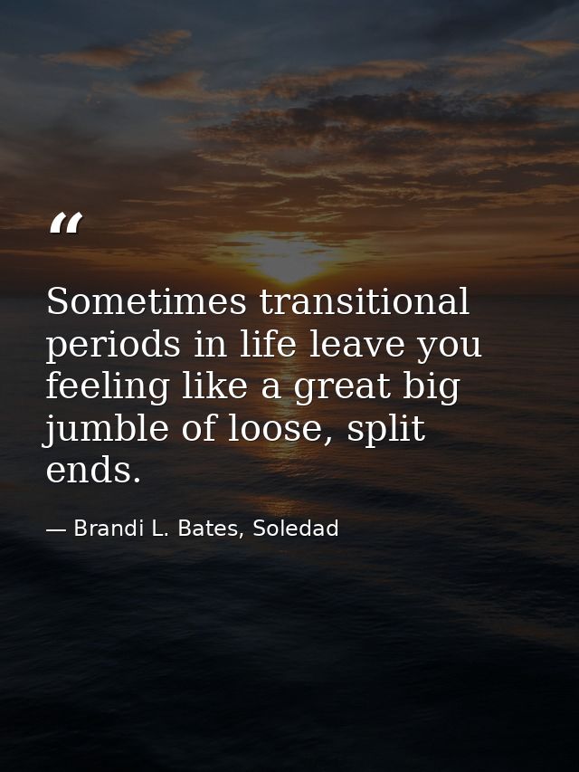 Sometimes transitional periods in life leave you feeling like a great big jumble of loose, split ends. — Brandi L. Bates, Soledad