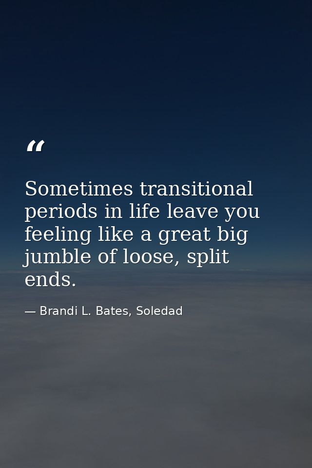 Sometimes transitional periods in life leave you feeling like a great big jumble of loose, split ends. — Brandi L. Bates, Soledad