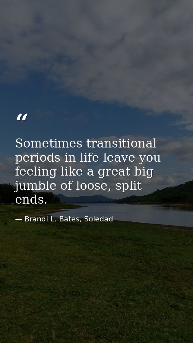 Sometimes transitional periods in life leave you feeling like a great big jumble of loose, split ends. — Brandi L. Bates, Soledad