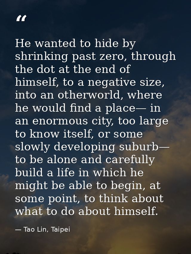 He wanted to hide by shrinking past zero, through the dot at the end of himself, to a negative size, into an otherworld, — Tao Lin, Taipei