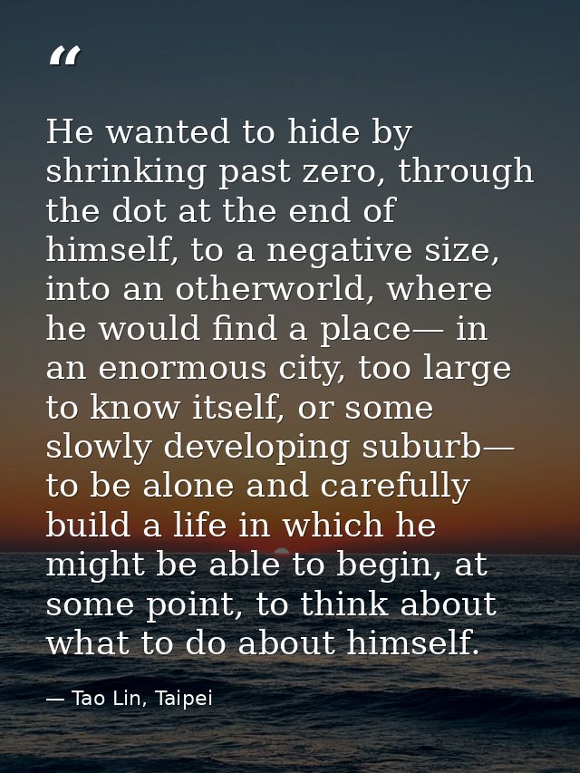 He wanted to hide by shrinking past zero, through the dot at the end of himself, to a negative size, into an otherworld, — Tao Lin, Taipei