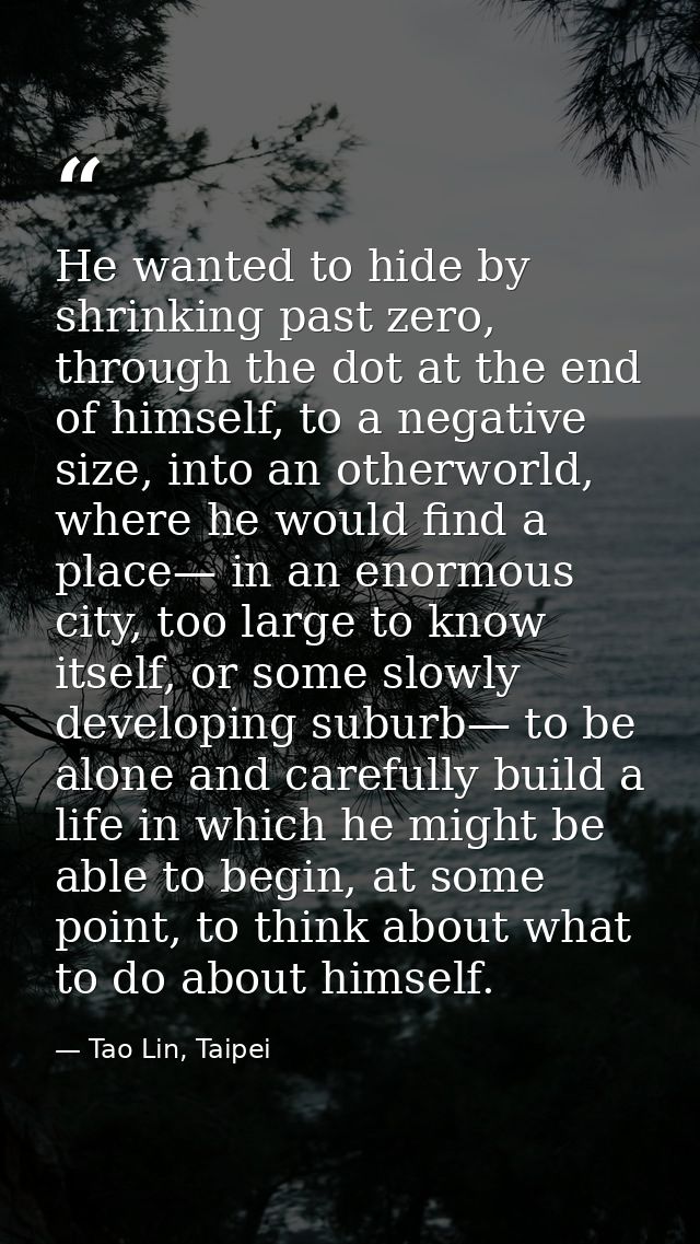 He wanted to hide by shrinking past zero, through the dot at the end of himself, to a negative size, into an otherworld, — Tao Lin, Taipei