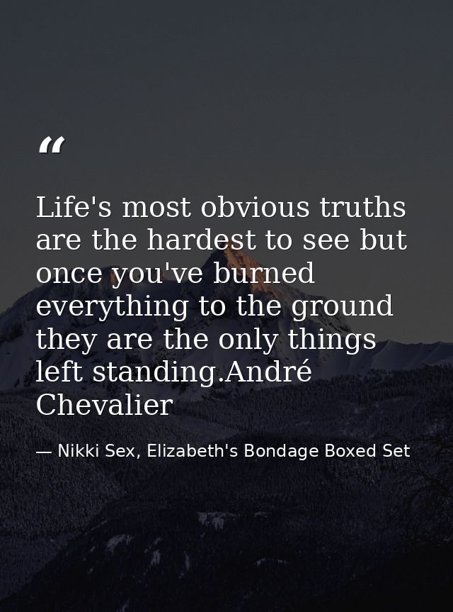 Life's most obvious truths are the hardest to see but once you've burned everything to the ground they are the only thin — Nikki Sex, Elizabeth's Bondage Boxed Set