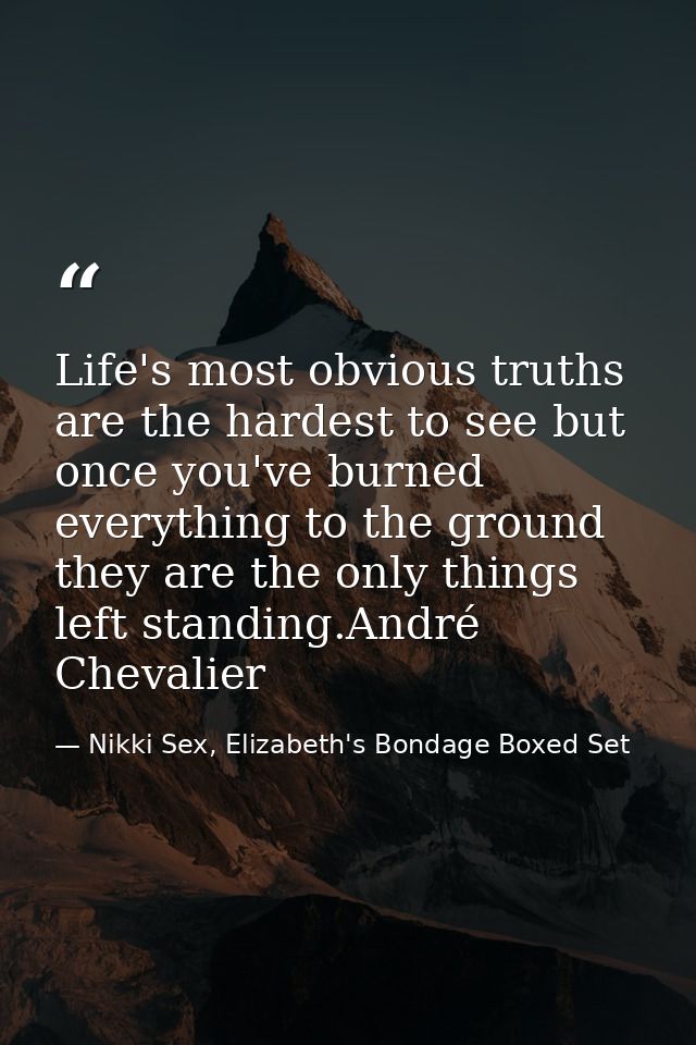 Life's most obvious truths are the hardest to see but once you've burned everything to the ground they are the only thin — Nikki Sex, Elizabeth's Bondage Boxed Set