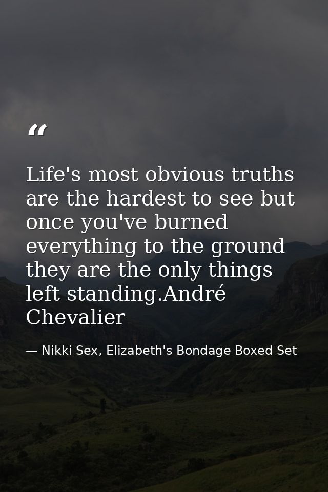 Life's most obvious truths are the hardest to see but once you've burned everything to the ground they are the only thin — Nikki Sex, Elizabeth's Bondage Boxed Set