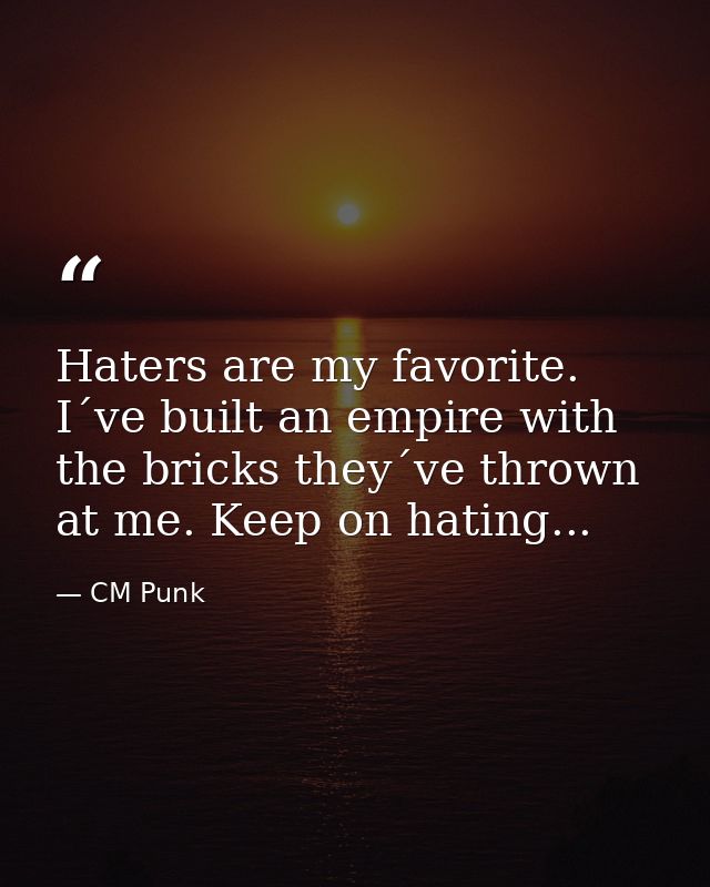 Haters are my favorite. I´ve built an empire with the bricks they´ve thrown at me. Keep on hating... — CM Punk