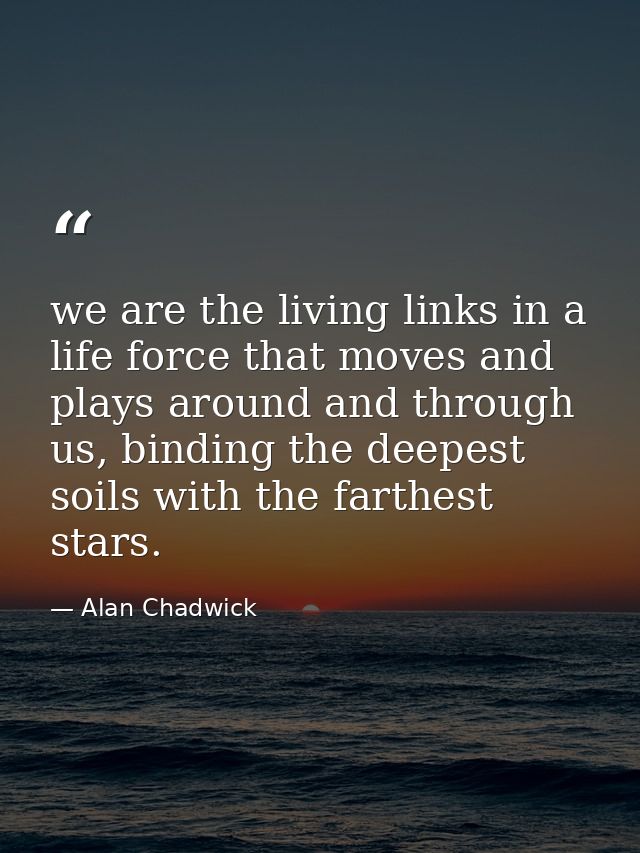 we are the living links in a life force that moves and plays around and through us, binding the deepest soils with the f — Alan Chadwick