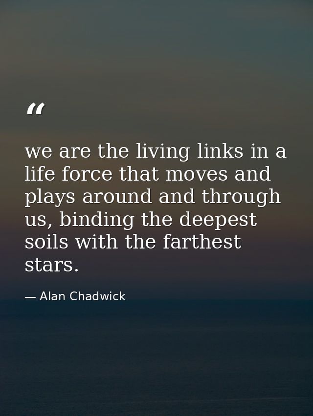 we are the living links in a life force that moves and plays around and through us, binding the deepest soils with the f — Alan Chadwick