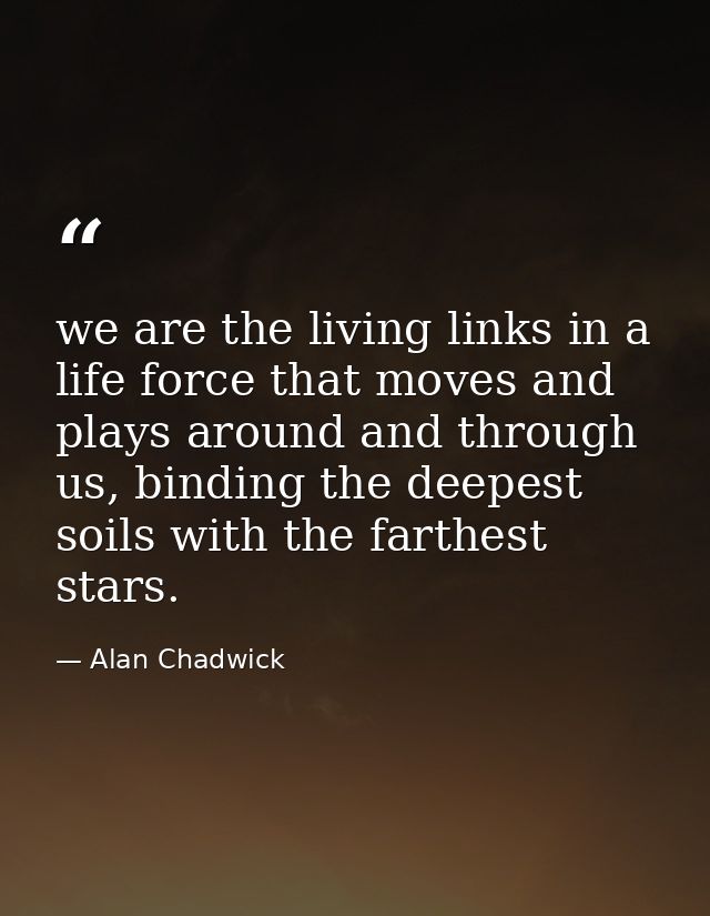 we are the living links in a life force that moves and plays around and through us, binding the deepest soils with the f — Alan Chadwick