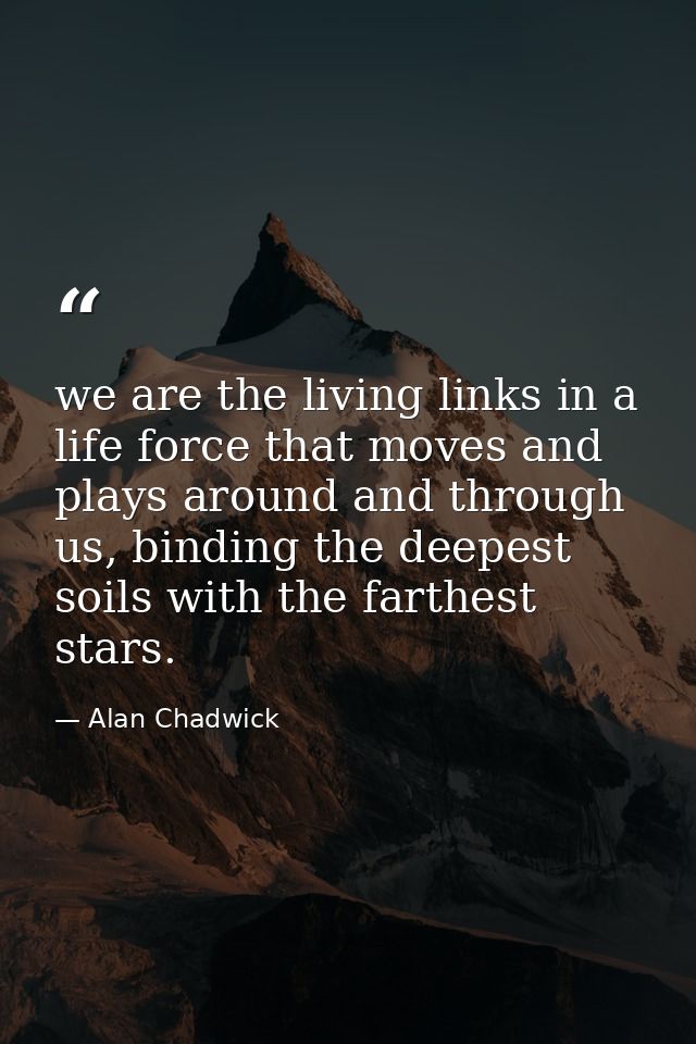 we are the living links in a life force that moves and plays around and through us, binding the deepest soils with the f — Alan Chadwick