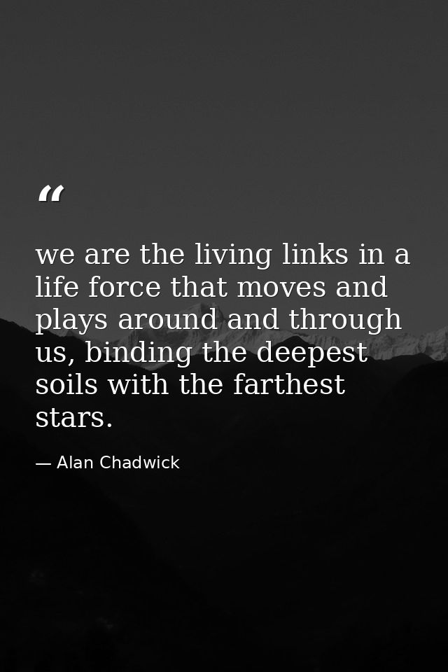 we are the living links in a life force that moves and plays around and through us, binding the deepest soils with the f — Alan Chadwick