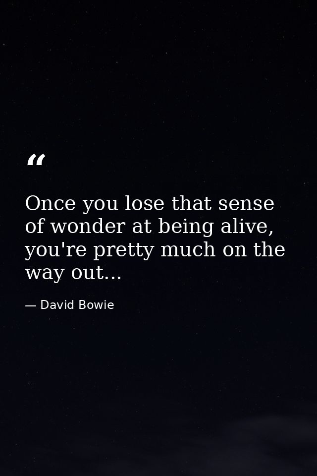 Once you lose that sense of wonder at being alive, you're pretty much on the way out... — David Bowie