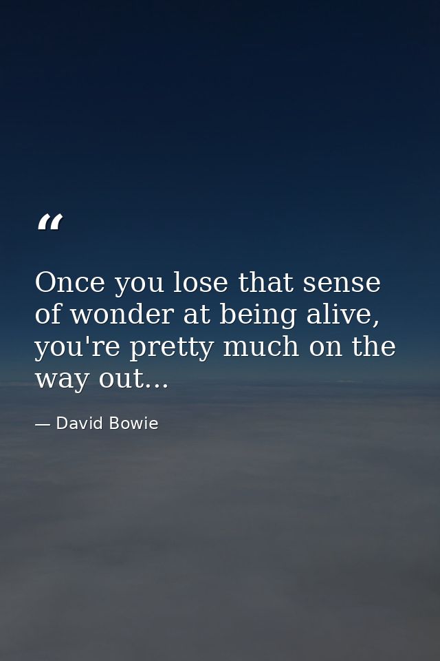 Once you lose that sense of wonder at being alive, you're pretty much on the way out... — David Bowie