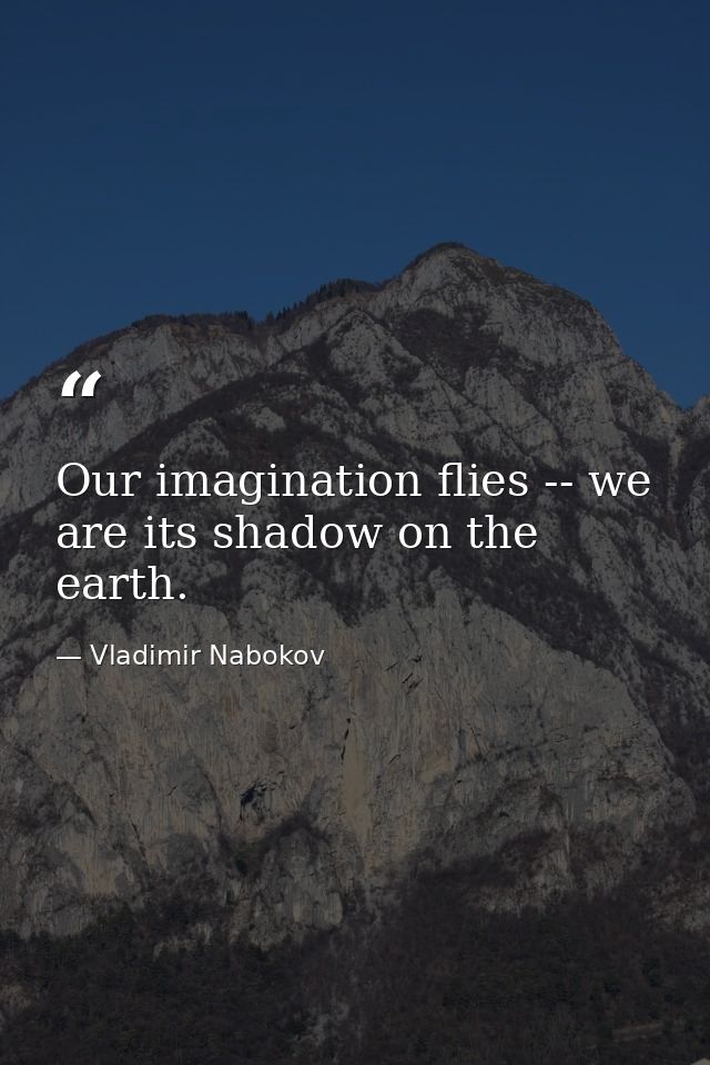Our imagination flies -- we are its shadow on the earth. — Vladimir Nabokov