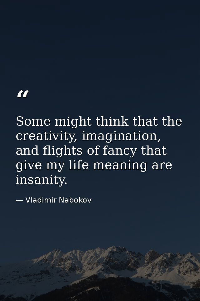 Some might think that the creativity, imagination, and flights of fancy that give my life meaning are insanity. — Vladimir Nabokov
