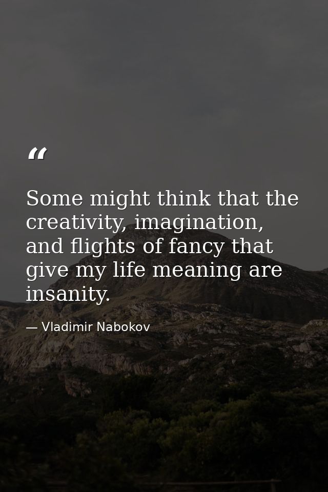 Some might think that the creativity, imagination, and flights of fancy that give my life meaning are insanity. — Vladimir Nabokov