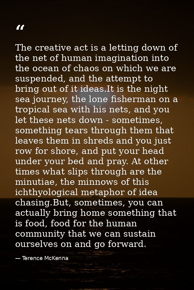 The creative act is a letting down of the net of human imagination into the ocean of chaos on which we are suspended, an — Terence McKenna