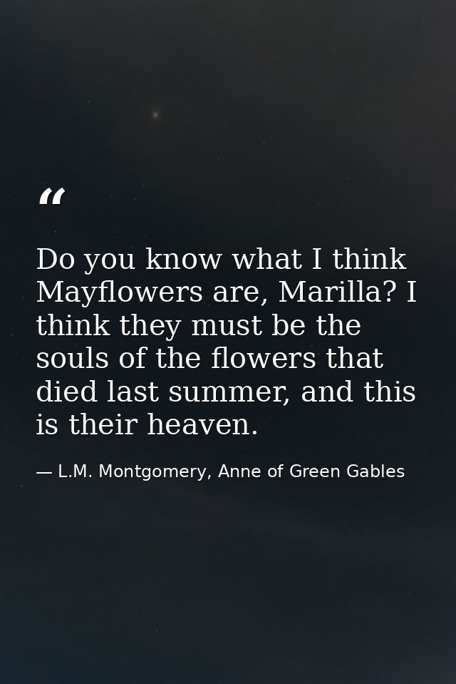 Do you know what I think Mayflowers are, Marilla? I think they must be the souls of the flowers that died last summer, a — L.M. Montgomery, Anne of Green Gables
