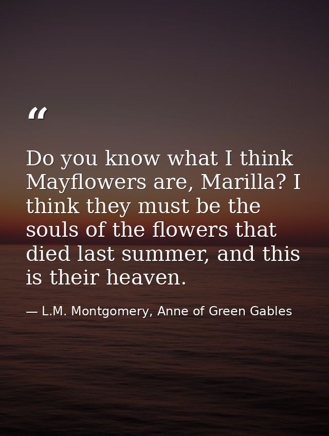 Do you know what I think Mayflowers are, Marilla? I think they must be the souls of the flowers that died last summer, a — L.M. Montgomery, Anne of Green Gables