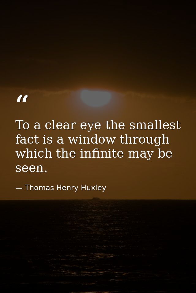 To a clear eye the smallest fact is a window through which the infinite may be seen. — Thomas Henry Huxley