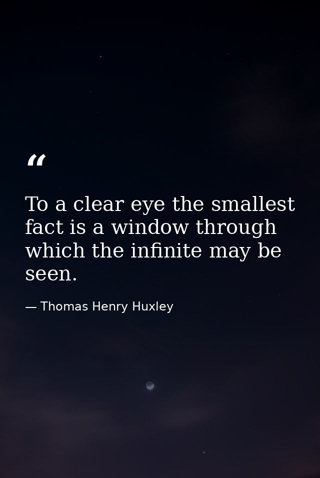 To a clear eye the smallest fact is a window through which the infinite may be seen. — Thomas Henry Huxley