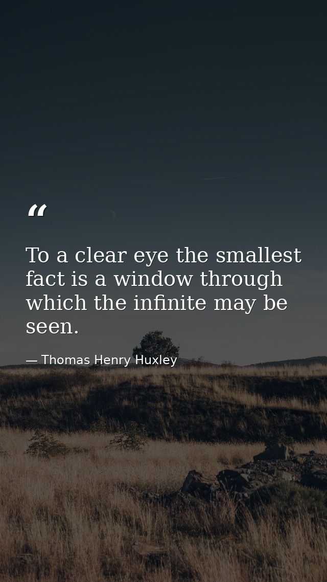 To a clear eye the smallest fact is a window through which the infinite may be seen. — Thomas Henry Huxley