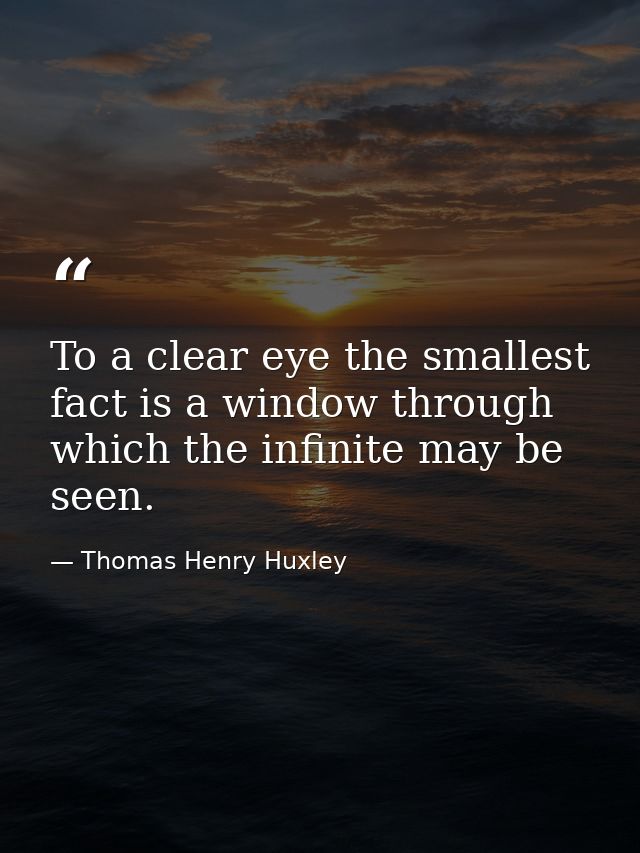 To a clear eye the smallest fact is a window through which the infinite may be seen. — Thomas Henry Huxley