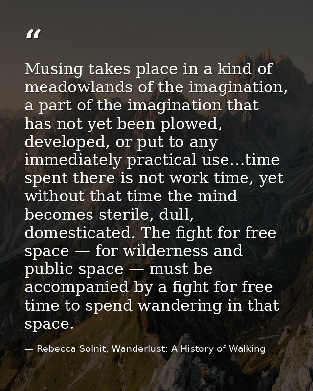 Musing takes place in a kind of meadowlands of the imagination, a part of the imagination that has not yet been plowed,  — Rebecca Solnit, Wanderlust: A History of Walking