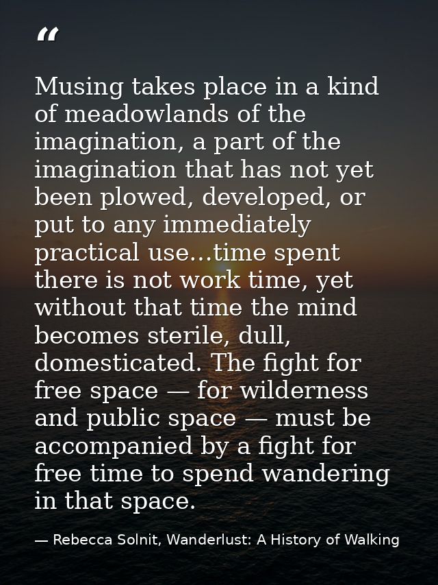 Musing takes place in a kind of meadowlands of the imagination, a part of the imagination that has not yet been plowed,  — Rebecca Solnit, Wanderlust: A History of Walking