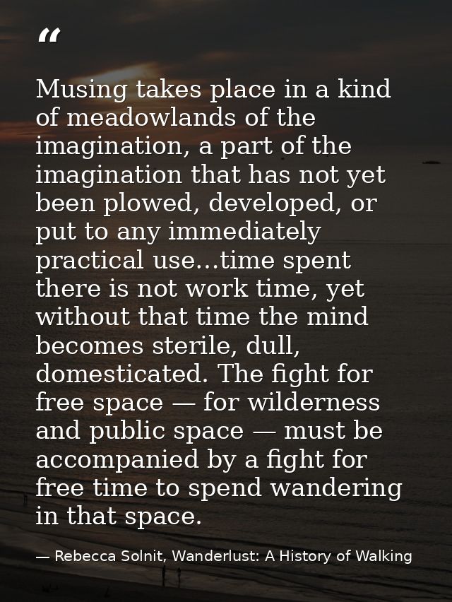Musing takes place in a kind of meadowlands of the imagination, a part of the imagination that has not yet been plowed,  — Rebecca Solnit, Wanderlust: A History of Walking