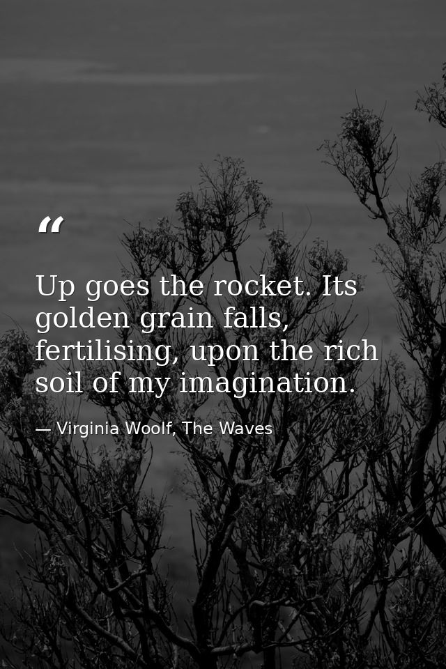 Up goes the rocket. Its golden grain falls, fertilising, upon the rich soil of my imagination. — Virginia Woolf, The Waves