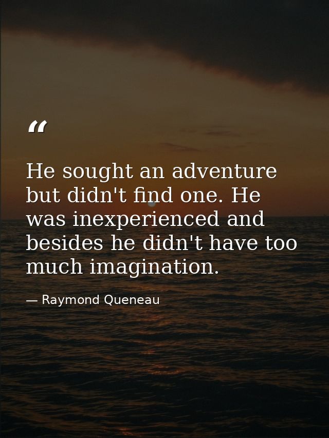 He sought an adventure but didn't find one. He was inexperienced and besides he didn't have too much imagination. — Raymond Queneau