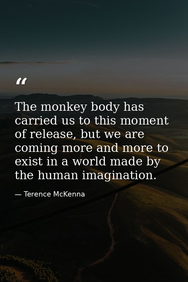 The monkey body has carried us to this moment of release, but we are coming more and more to exist in a world made by th — Terence McKenna