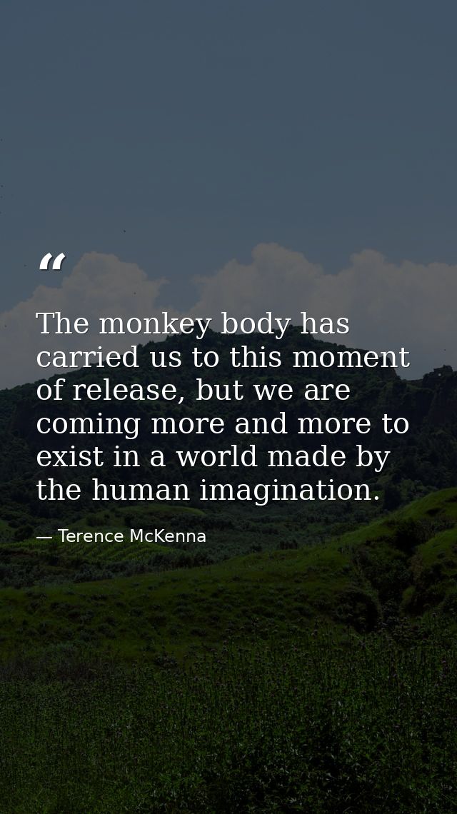 The monkey body has carried us to this moment of release, but we are coming more and more to exist in a world made by th — Terence McKenna