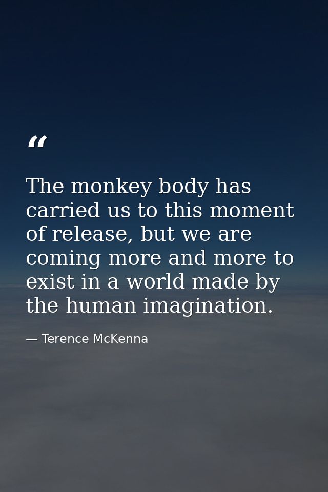The monkey body has carried us to this moment of release, but we are coming more and more to exist in a world made by th — Terence McKenna