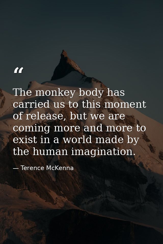 The monkey body has carried us to this moment of release, but we are coming more and more to exist in a world made by th — Terence McKenna
