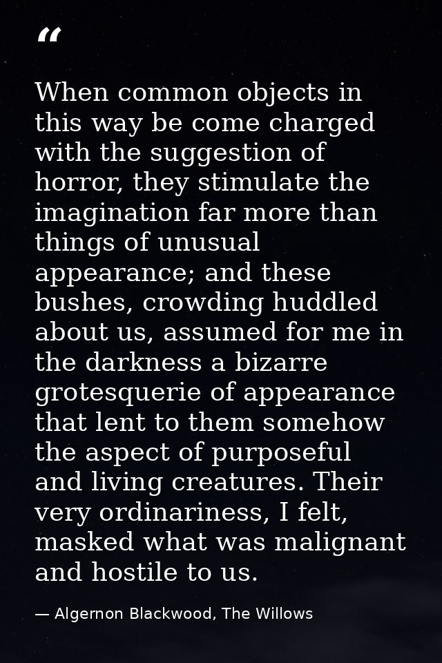 When common objects in this way be come charged with the suggestion of horror, they stimulate the imagination far more t — Algernon Blackwood, The Willows