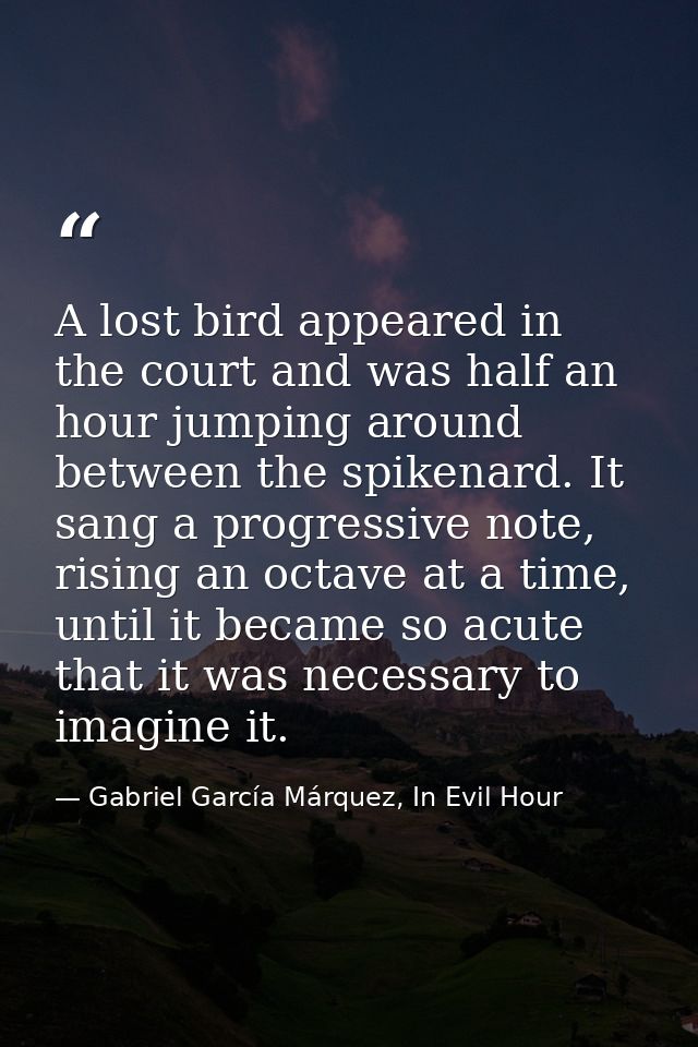 A lost bird appeared in the court and was half an hour jumping around between the spikenard. It sang a progressive note, — Gabriel García Márquez, In Evil Hour