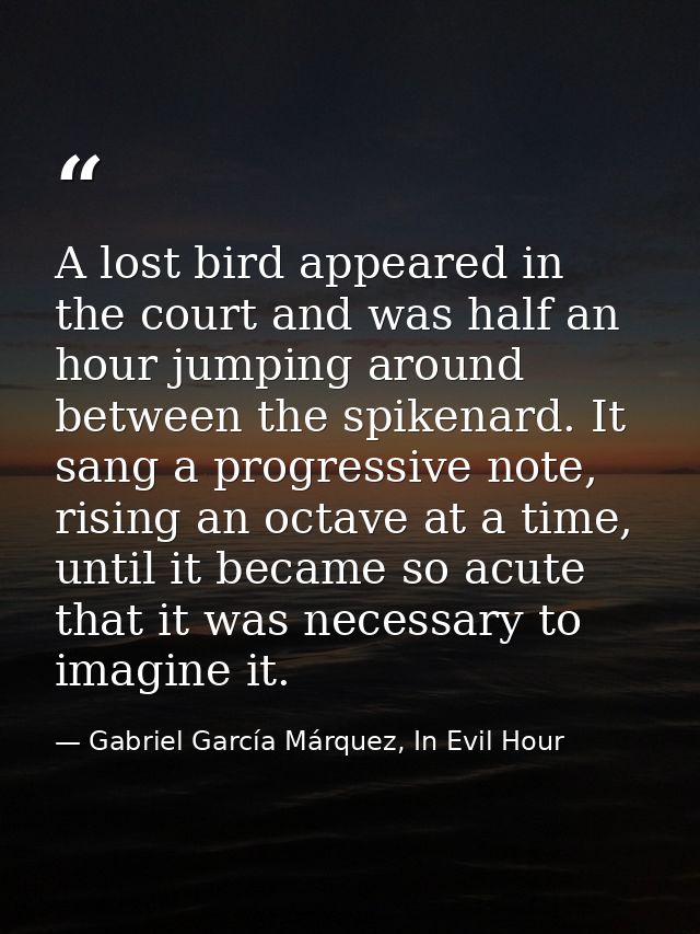 A lost bird appeared in the court and was half an hour jumping around between the spikenard. It sang a progressive note, — Gabriel García Márquez, In Evil Hour