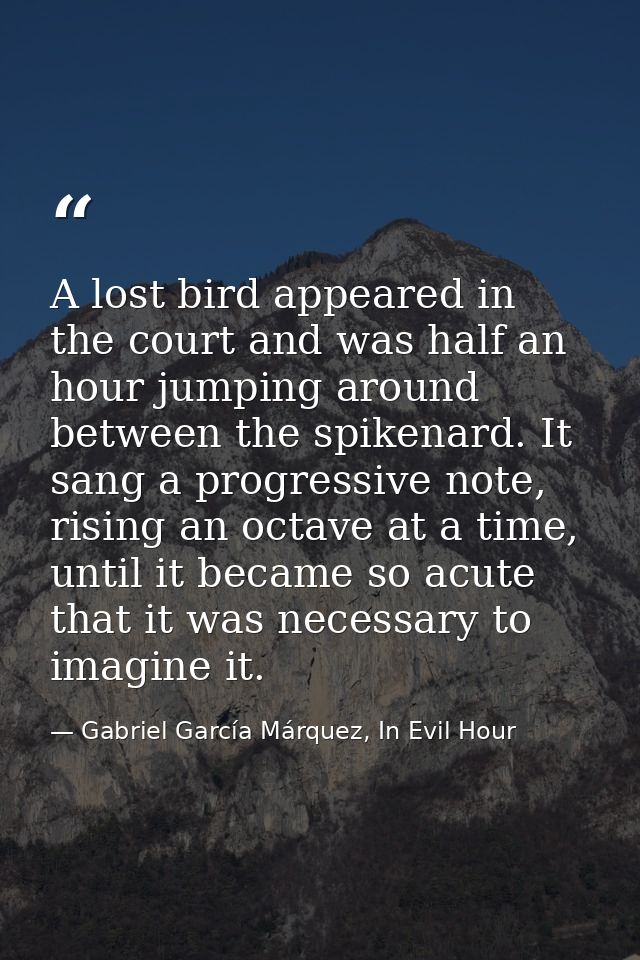 A lost bird appeared in the court and was half an hour jumping around between the spikenard. It sang a progressive note, — Gabriel García Márquez, In Evil Hour