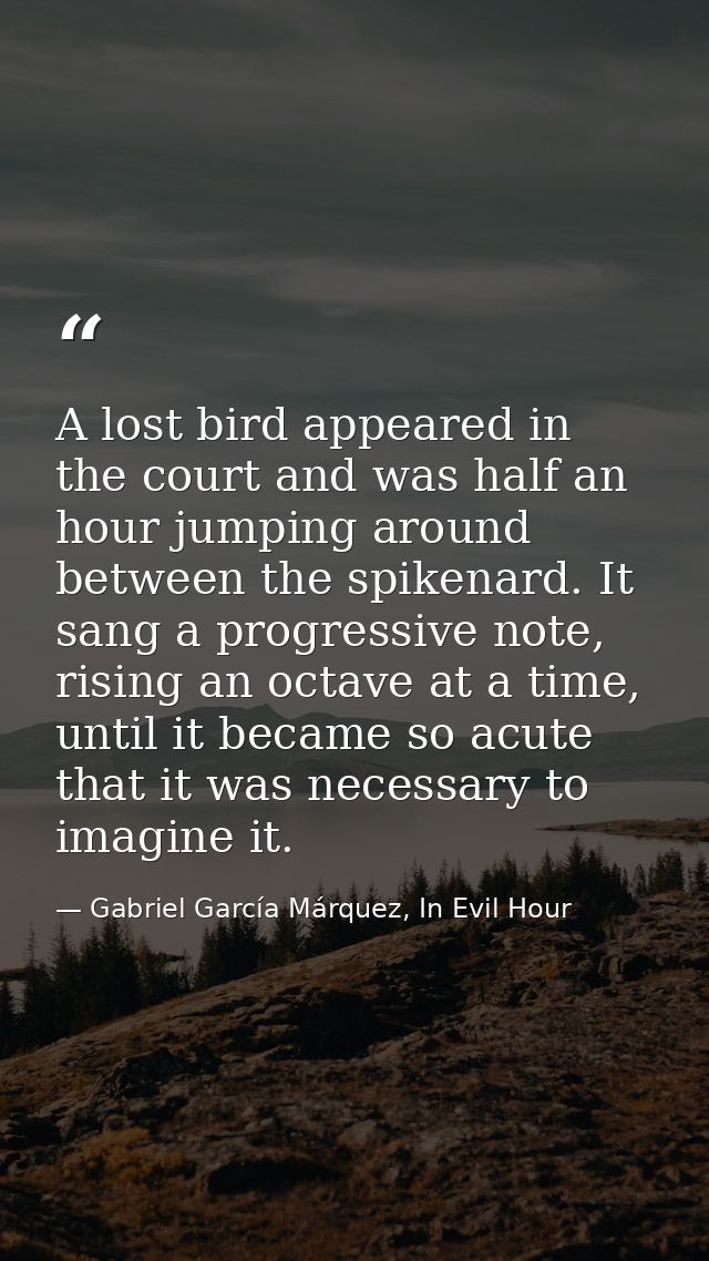 A lost bird appeared in the court and was half an hour jumping around between the spikenard. It sang a progressive note, — Gabriel García Márquez, In Evil Hour
