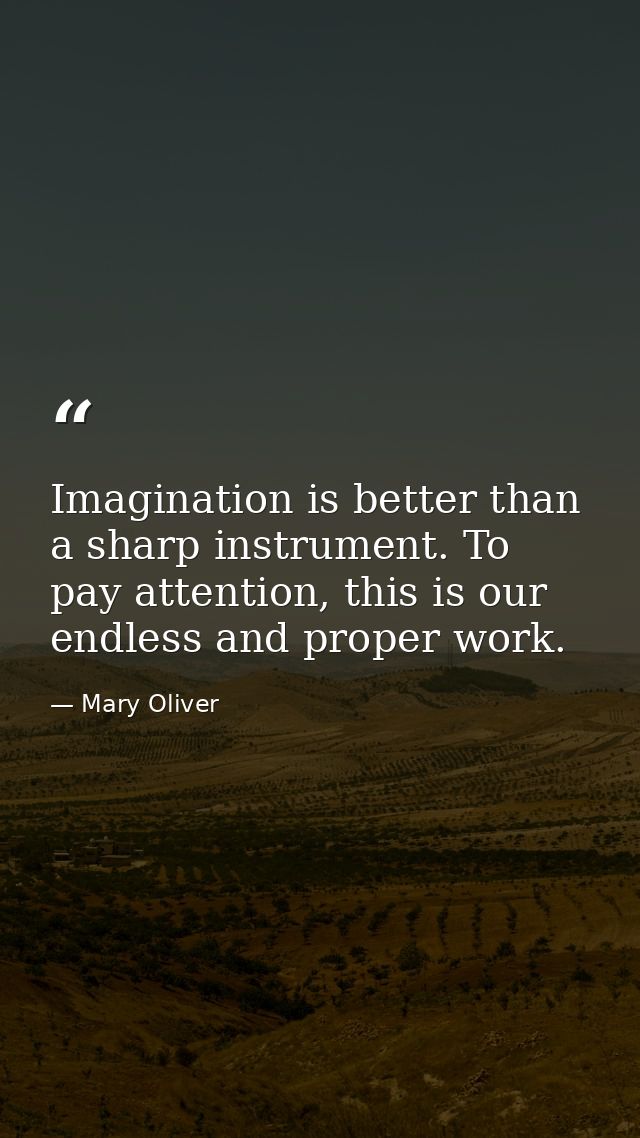 Imagination is better than a sharp instrument. To pay attention, this is our endless and proper work. — Mary Oliver