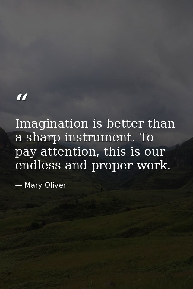 Imagination is better than a sharp instrument. To pay attention, this is our endless and proper work. — Mary Oliver
